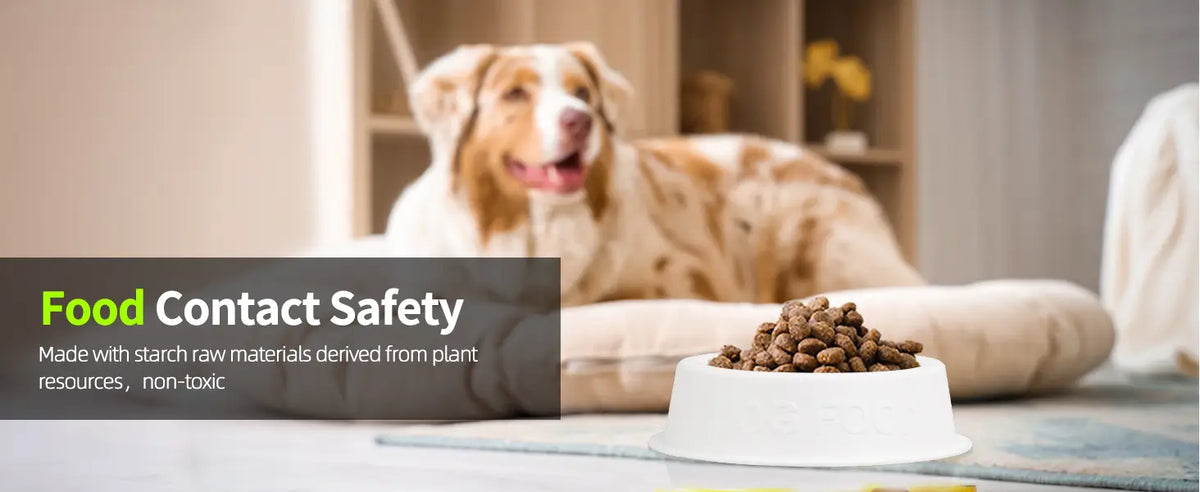 3D printed pet food bowl highlighting the food contact safety and non toxic nature of LANDU PETG filament.